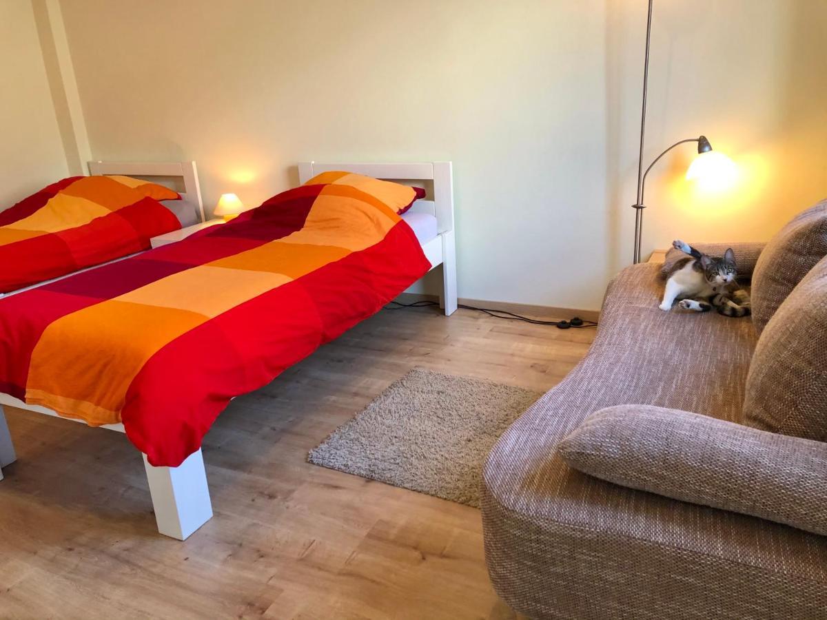 Die Senfbude - Wunderschoene Apartments Fuer 4 Personen Mit Terrasse & Stellplatz Лайпциг Екстериор снимка